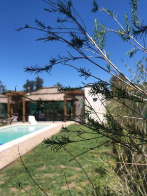 Jazba - Casa de campo